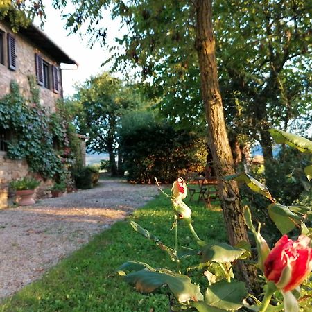 Апартаменты Casa Gioia Греве-ин-Кьянти Экстерьер фото